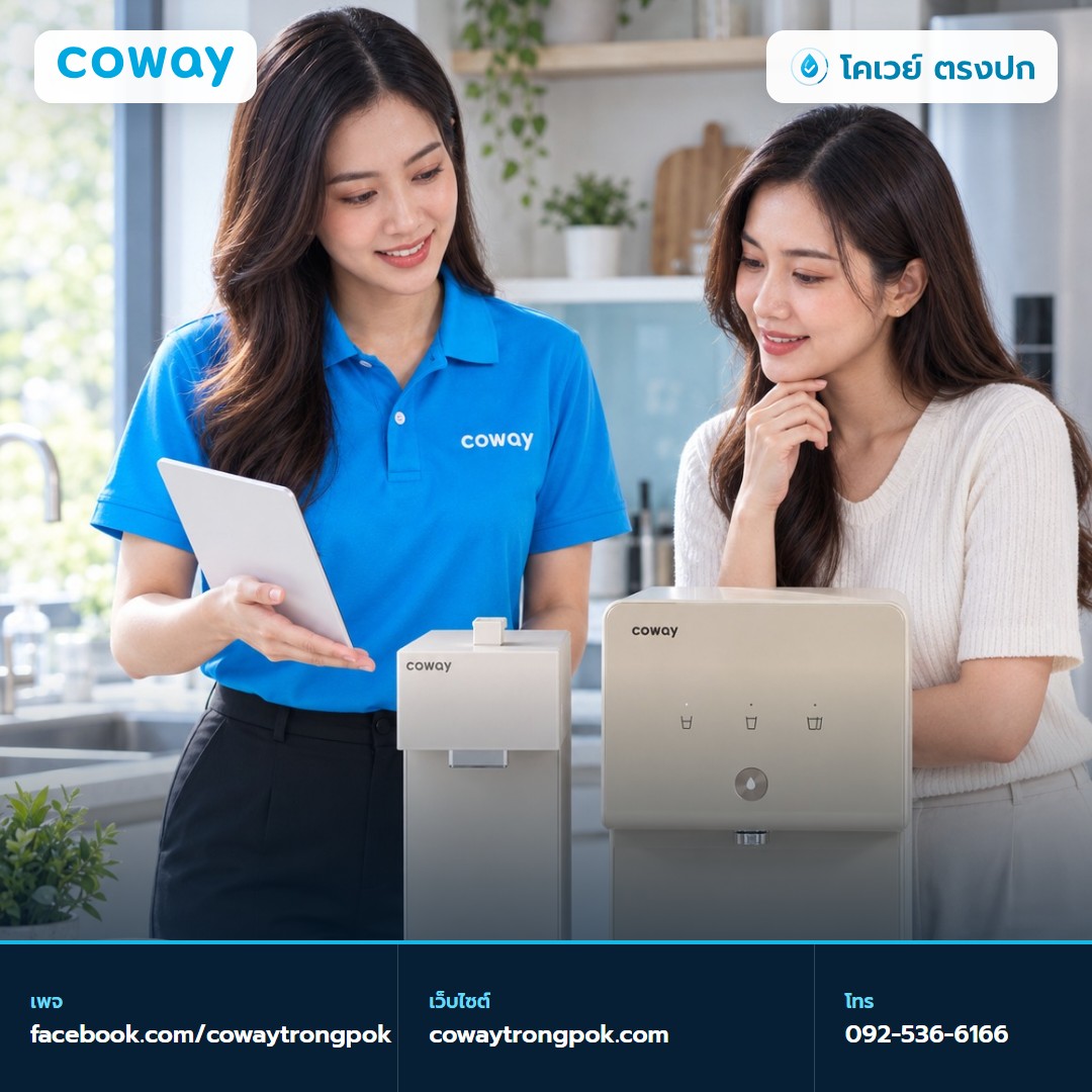 Switch และ Cinnamon จากภาพสินค้าบริษัท